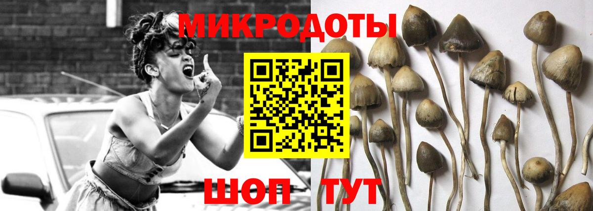 Псилоцибиновые грибы прущие грибы  Вход с VPN  Кропоткин 